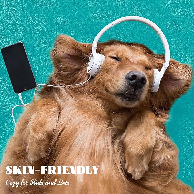 5x8 Area Rug for Living Room: Fluffy Shag Soft Washable Rugs Fuzzy Plush Indoor Carpet for Bedroom Nursery Playroom Dorm Kids Girls Boys Room (Teal Blue, 5'x8')