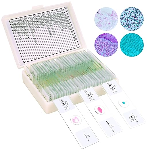 30 Microscope Slides with Specimens, Prepared Microscope Slides Set with Plants Animals Insects for Adults Students Homeschool Basic Biological Science Education