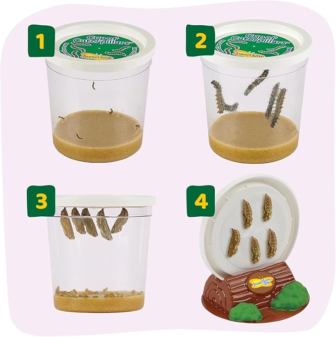 Insect Lore Raise and Release Butterfly Garden Kit – Caterpillar Habitat with redeemable Voucher – STEM-accredited Live Butterfly Growing Kit for Kids, Classrooms, and Homeschool Learning