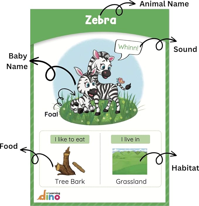 Animals and Their Babies Flashcards | Animal Sound | Animal Habitat Flashcards for Toddlers and Kids - 40 Animals - Non Tearable and Water Resistant | Reusable