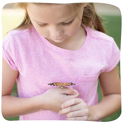 Insect Lore Cup of Caterpillars - 5 Live Painted Lady Caterpillars with Food - Refill for Butterfly Garden Kit - Stickers & Chrys-A-Lid Holding Log Included - STEM Learning Activity