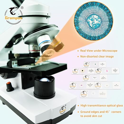 30 Prepared Microscope Slides with Specimens for Kids Students - Animals Plants Insects Microorganism, for Biological Science Lab, Children's Science Education, Homeschool