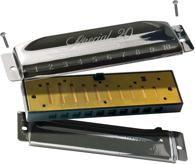 Hohner 560 Special 20 Harmonica - Key of F Bundle with Carrying Case, Key Stickers, Harmonica Beginner Online Manual, and Austin Bazaar Polishing Cloth