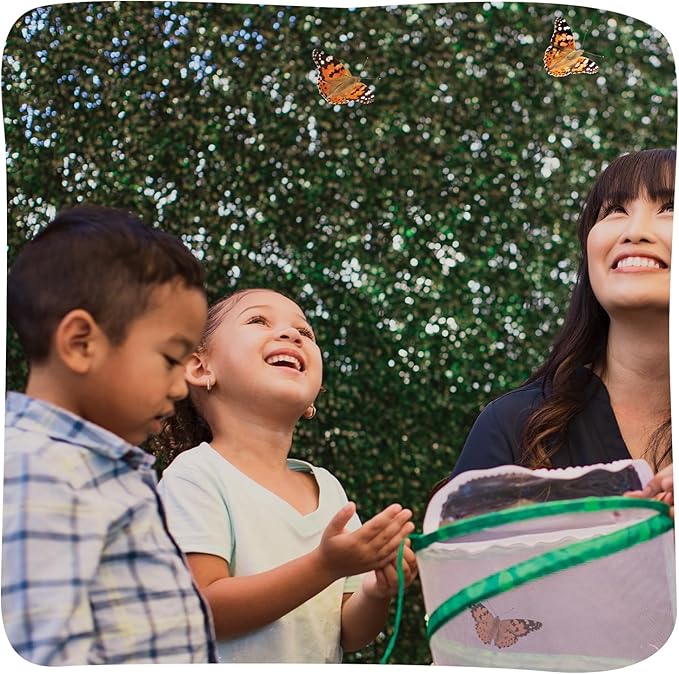 Insect Lore Butterfly Garden Kit - 5 Live Baby Caterpillars, Habitat, Feeder, Chrys-A-Lid Log, STEM Journal Included - Grow, Raise and Release Painted Lady Butterflies