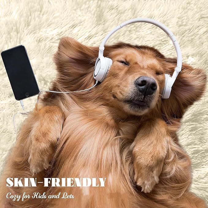 5x7 Area Rug for Living Room: Fluffy Shag Soft Washable Rugs Fuzzy Plush Indoor Carpet for Bedroom Nursery Playroom Dorm Kids Girls Boys Room (Cream White, 5'x7')