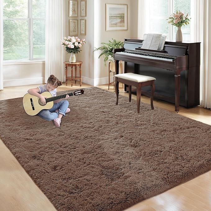 5x7 Area Rug for Living Room: Fluffy Shag Soft Washable Rugs Fuzzy Plush Indoor Carpet for Bedroom Nursery Playroom Dorm Kids Girls Boys Room (Coffee, 5'x7')