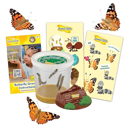 Insect Lore Cup of Caterpillars - 5 Live Painted Lady Caterpillars with Food - Refill for Butterfly Garden Kit - Stickers & Chrys-A-Lid Holding Log Included - STEM Learning Activity