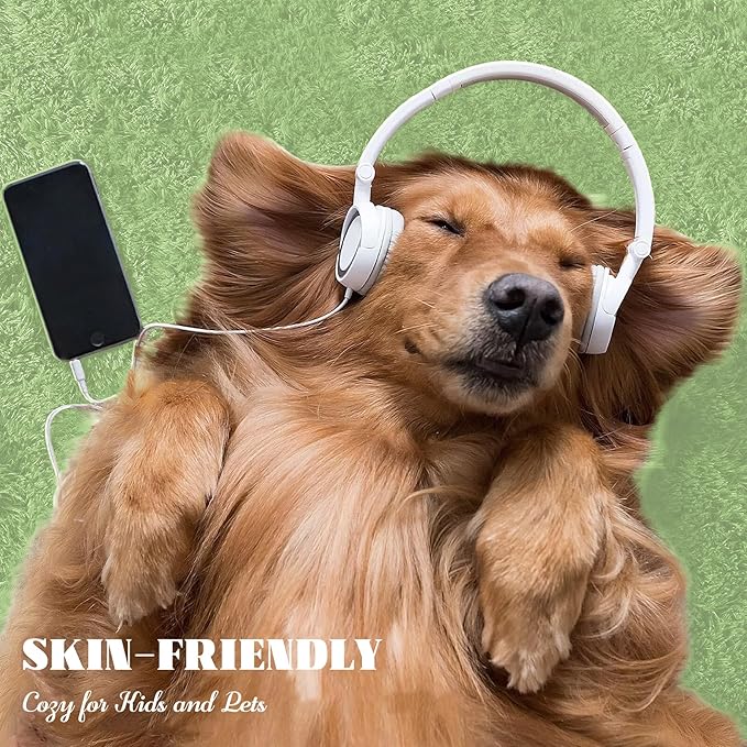 4x6 Area Rug for Living Room: Fluffy Shag Soft Washable Rugs Fuzzy Plush Indoor Carpet for Bedroom Nursery Playroom Dorm Kids Girls Boys Room (Sage Green, 4'x6')