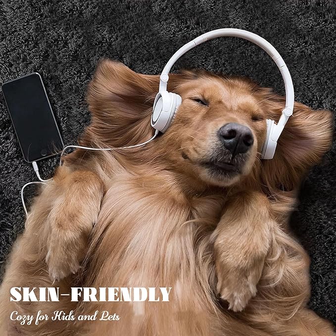 6x9 Area Rug for Living Room: Fluffy Shag Soft Washable Rugs Large Fuzzy Plush Indoor Carpet for Bedroom Nursery Playroom Kids Girls Boys Room (Black, 6'x9')