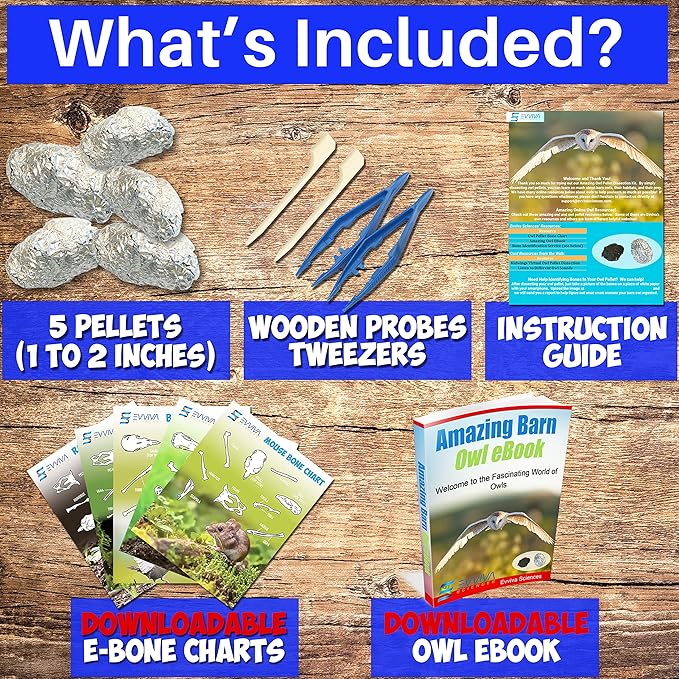 Amazing Owl Pellet Dissection Kit 5-Piece Set for Science Lab Projects Includes Tweezers and Wooden Probes Ideal for Ages 15 & Older Barn Owl eBook Included